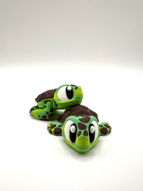 Shell-don the Sea Turtle