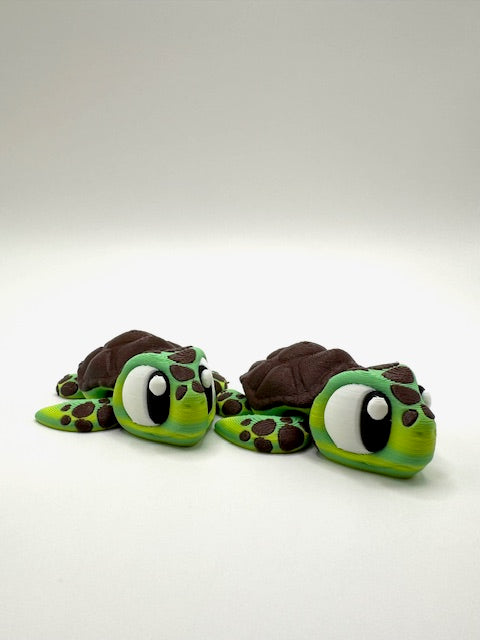 Shell-don the Sea Turtle