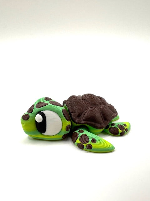 Shell-don the Sea Turtle
