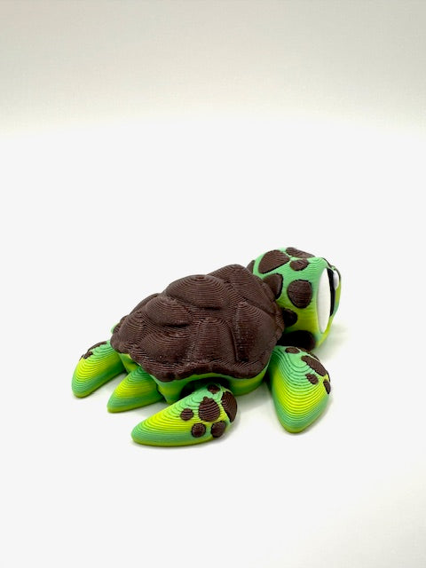 Shell-don the Sea Turtle