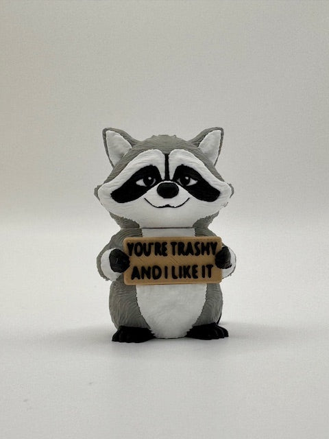 You're Trashy & I Like It — The Trash Panda